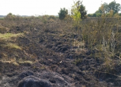 В Петровском районе мать и сын погибли, сжигая траву около дома