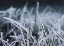 На выходных в регионе ожидаются заморозки 