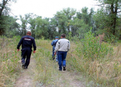 Пропавшего под Моршанском 12-летнего мальчика нашли живым