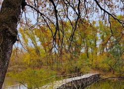 Выходные в Тамбове будут облачными и тёплыми