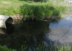 Росприроднадзор добился частичного возмещения ущерба от загрязнения Цны