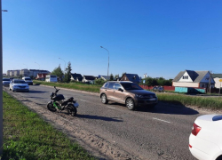 На севере Тамбова мотоциклистка сбила собаку