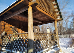 В Мичуринске создают центр охраны хищных птиц и развития соколиной охоты «Русский сокол»
