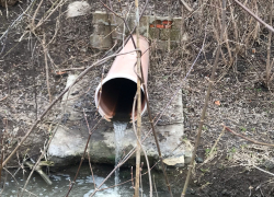 Тамбовские экоактивисты выявили полсотни нарушений на Студенце