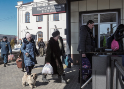 В регион прибыло 500 беженцев из Мариуполя