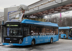 В Тамбове власти решили опросить жителей по поводу электробусов