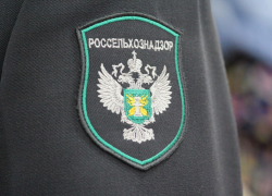 Россельхознадзор изъял у Зураба Шамояна земельный участок