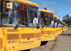 До конца 2019 года в школы поступят 52 новых автобуса