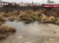 «Народный фронт» нашёл гигантское озеро канализации на западе Тамбова