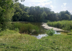 В Тамбовской области за сутки утонули два человека