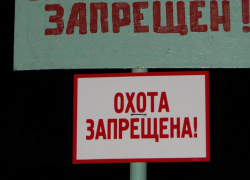 В регионе полностью запрещена весенняя охота