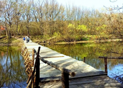 Глава Котовска Алексей Плахотников: «Всё равно неразумные котовчане сломают»