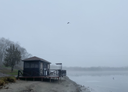 Последние выходные ноября для тамбовчан будут пасмурными