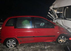 В Тамбовской области на трассе «Каспий» в аварии с участием микроавтобуса погибли двое, четверо пострадали