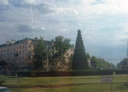 Ко дню города Тамбов украсили... новогодней елкой