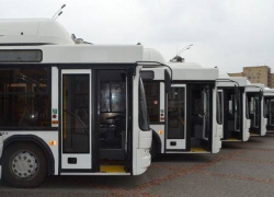 Десять автобусов, купленных по казначейскому кредиту, отправятся в Моршанск