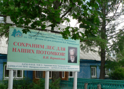 На территории памятника природы в Пичаевском районе обнаружена незаконная стройка