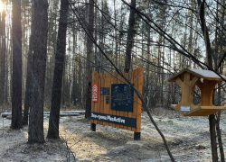 Завершён первый этап благоустройства тропинки к Святовскому озеру