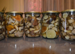 В регионе за последние полгода грибами отравились 8 человек   