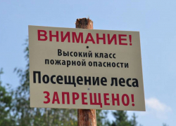 В Тамбовской области запрещено посещать леса 