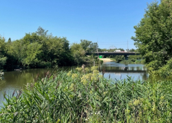 В Тамбове, кажется, сдвинулась с мертвой точки история с расчисткой Студенца