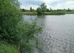 В пруде Янсон Мичуринского округа нашли тело утопленника