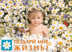 Акция «Подари мне жизнь» пройдет в лечебных учреждениях области 