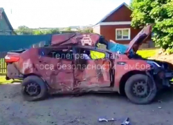 В Кирсановском районе девушка погибла при столкновении с дорожным знаком и деревом 