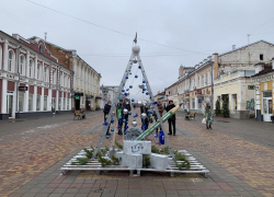 В Тамбове на улице Коммунальной появилась необычная ёлка в виде лестницы-стремянки