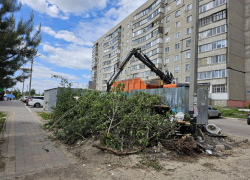 В Тамбове за две недели мая вывезено больше 180 стихийных свалок