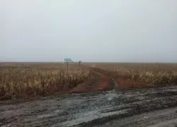 Многодетная семья несколько лет ждёт проведения коммуникаций к участку в Тамбовском районе