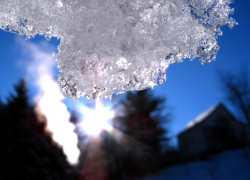 В начале рабочей недели в Тамбов придёт потепление