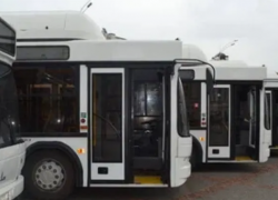 В Тамбове с 22 января запустят новый автобусный маршрут №14Т