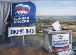 Вице-губернатор заявилась на праймериз «Единой России» по выборам в Тамбовскую облдуму