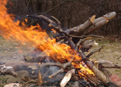 В регионе составлено 42 административных протокола за разведение костров