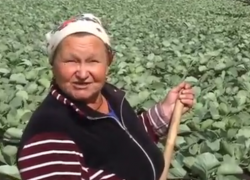 Тамбовские аграрии стали героями программы «Вести недели» на канале «Россия-1» 