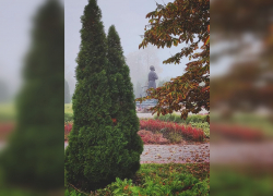 Начало рабочей недели будет пасмурным 