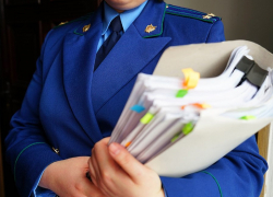 Прокуратура взяла на контроль инцидент с падением дерева на женщин в Ахлебиновской роще