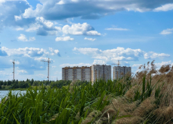 Ближайшие дни в Тамбове будут тёплыми и малооблачными