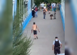 Тамбовчанин с ножом, раненый полицейским при задержании, пойдёт под суд