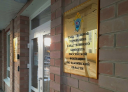 Следователи проверят жалобу на отсутствие дороги в деревне Тамбовской области