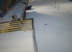 В Тамбове разыскивают вандалов, сломавших декорации в горсаду