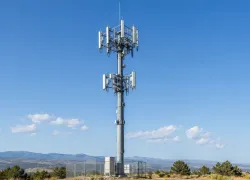 Тамбовские архитекторы смогут предложить новый дизайн сотовых вышек в стране