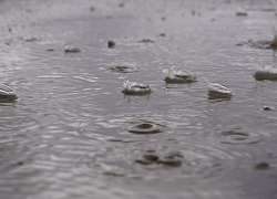 К концу рабочей недели в Тамбове ожидается дождь и потепление