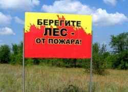 В Тамбовской области установлен 4 класс пожарной опасности