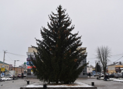 В Моршанске и Пичаеве установили живые новогодние ёлки, подаренные жителями