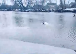 В Тамбове в Цне утонула легковушка