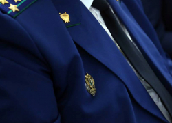 Прокуратура через суд требует отремонтировать дорогу на территории Мучкапского района