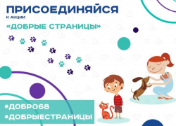 Тамбовчан призывают помочь животным из местных приютов
