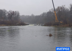 В Пригородном лесу приступили к демонтажу перемычки на Цне